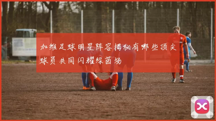 加维足球明星阵容揭秘有哪些顶尖球员共同闪耀绿茵场