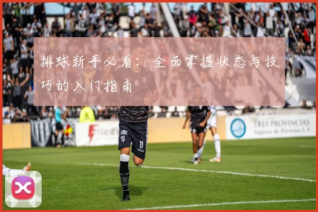 排球新手必看：全面掌握状态与技巧的入门指南