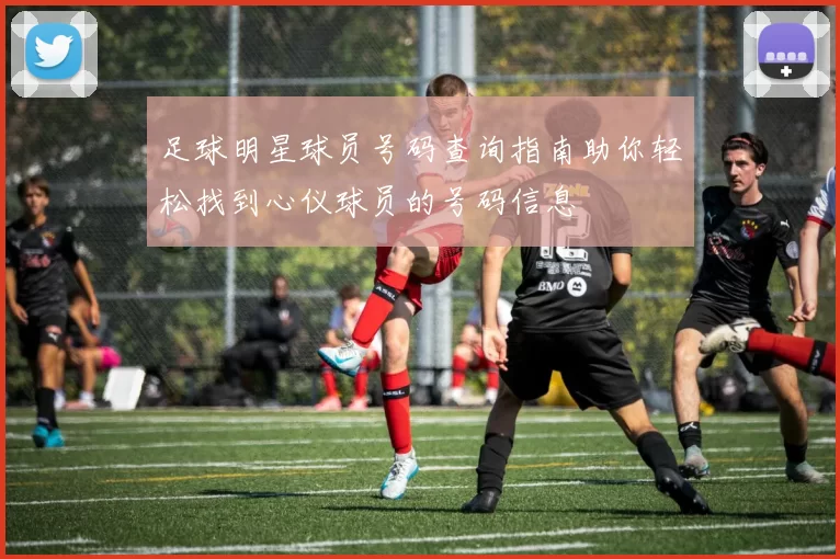 足球明星球员号码查询指南助你轻松找到心仪球员的号码信息