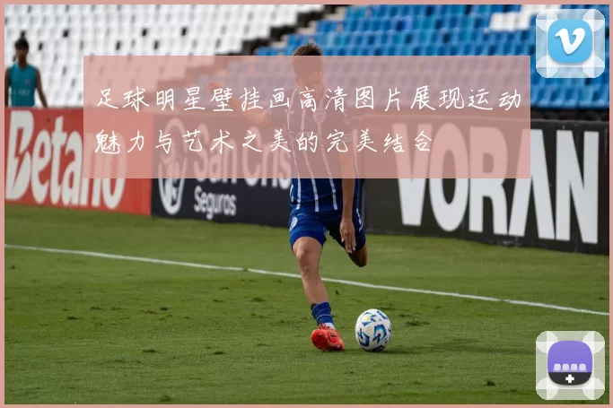 足球明星壁挂画高清图片展现运动魅力与艺术之美的完美结合