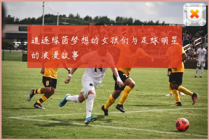 追逐绿茵梦想的女孩们与足球明星的浪漫故事