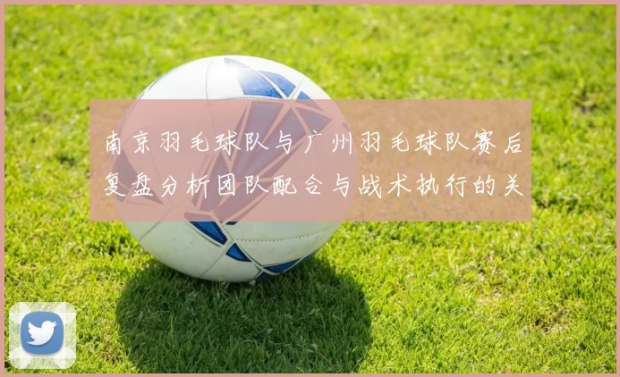 南京羽毛球队与广州羽毛球队赛后复盘分析团队配合与战术执行的关键因素