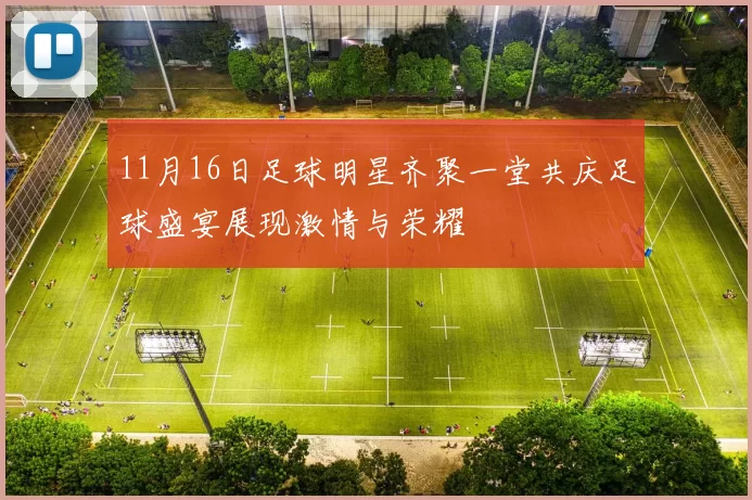 11月16日足球明星齐聚一堂共庆足球盛宴展现激情与荣耀
