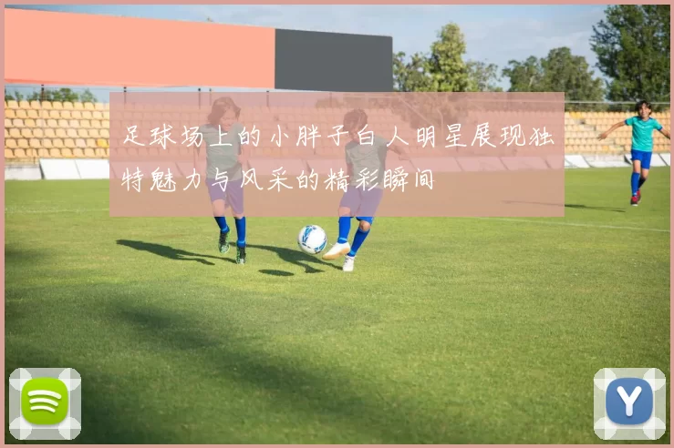 足球场上的小胖子白人明星展现独特魅力与风采的精彩瞬间