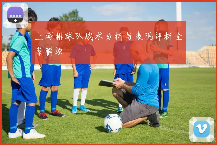 上海排球队战术分析与表现评析全景解读