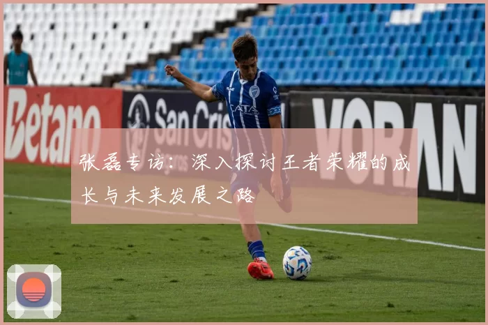 张磊专访：深入探讨王者荣耀的成长与未来发展之路