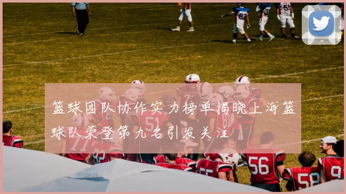 篮球团队协作实力榜单揭晓上海篮球队荣登第九名引发关注