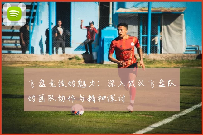 飞盘竞技的魅力：深入武汉飞盘队的团队协作与精神探讨