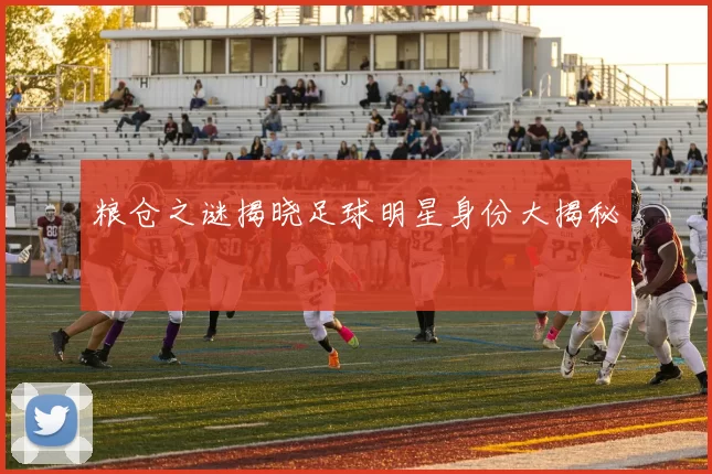 粮仓之谜揭晓足球明星身份大揭秘