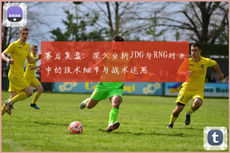 赛后复盘：深入分析JDG与RNG对决中的技术细节与战术运用