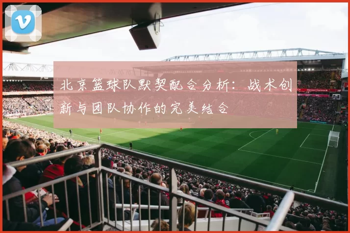 北京篮球队默契配合分析：战术创新与团队协作的完美结合