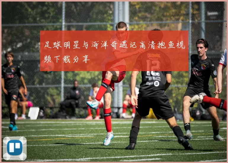 足球明星与海洋奇遇记高清抱鱼视频下载分享
