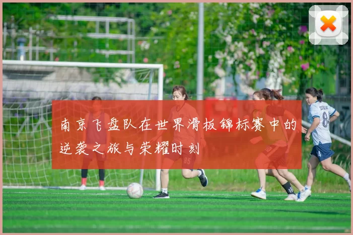 南京飞盘队在世界滑板锦标赛中的逆袭之旅与荣耀时刻