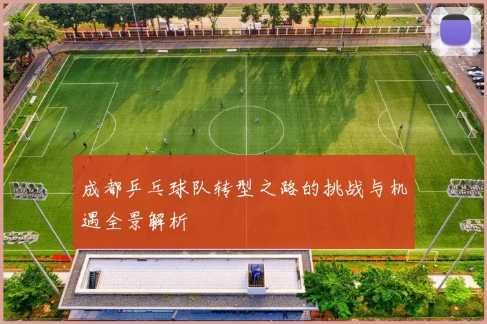 成都乒乓球队转型之路的挑战与机遇全景解析