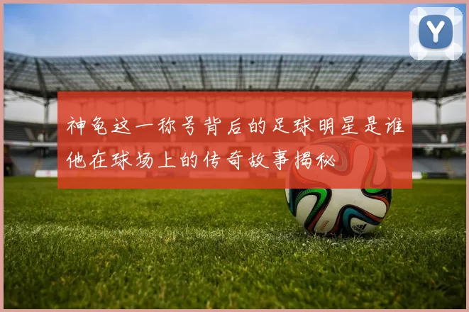 神龟这一称号背后的足球明星是谁他在球场上的传奇故事揭秘