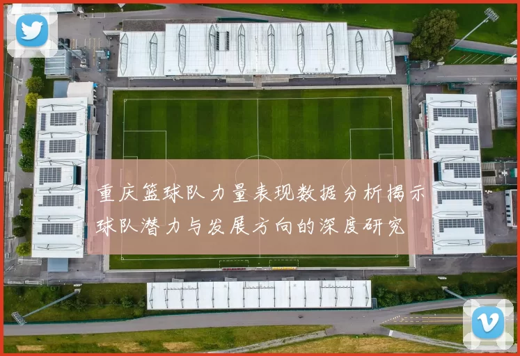 重庆篮球队力量表现数据分析揭示球队潜力与发展方向的深度研究