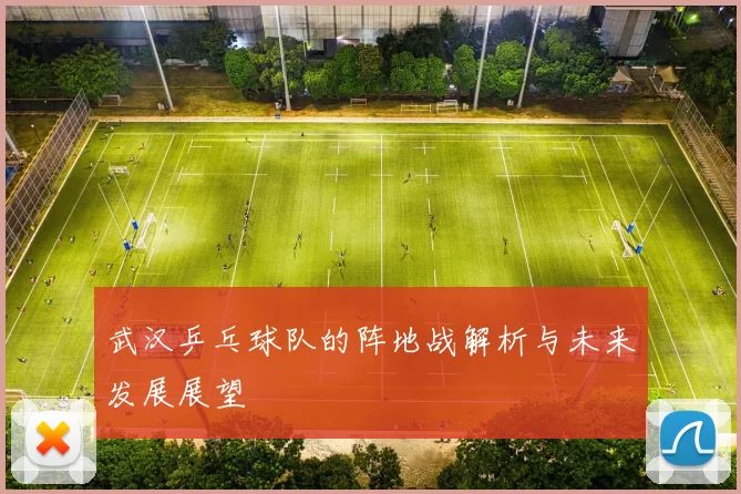 武汉乒乓球队的阵地战解析与未来发展展望