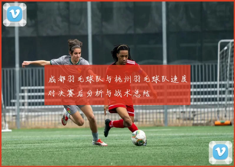 成都羽毛球队与杭州羽毛球队速度对决赛后分析与战术总结