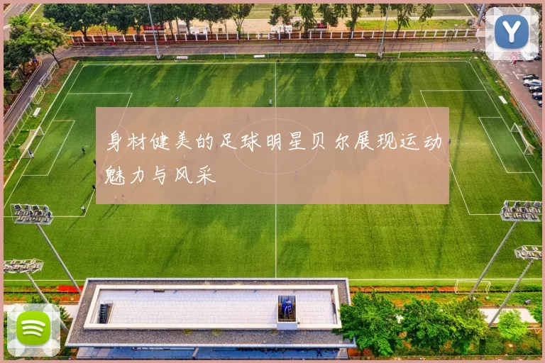 身材健美的足球明星贝尔展现运动魅力与风采