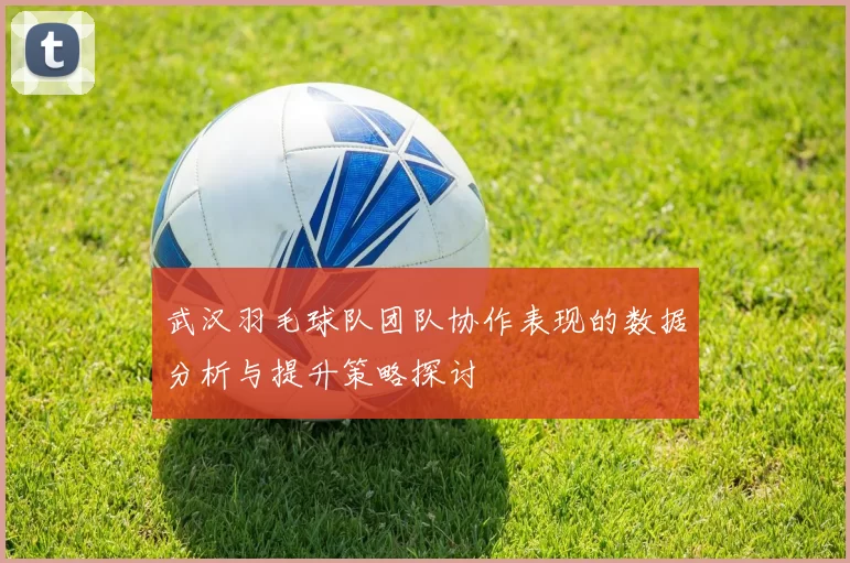 武汉羽毛球队团队协作表现的数据分析与提升策略探讨